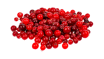 Estratto di mirtillo rosso